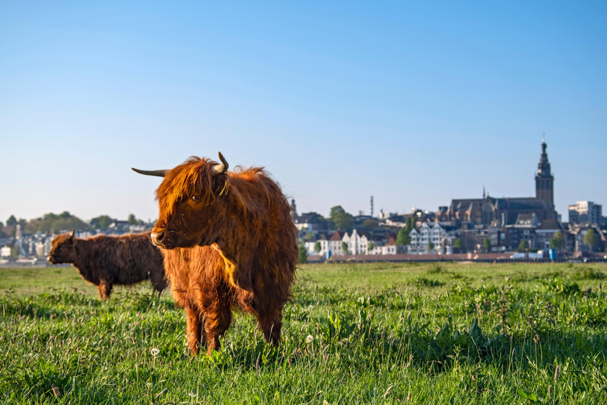 lucas-van-oort-Sz7yWCn8POU-unsplash