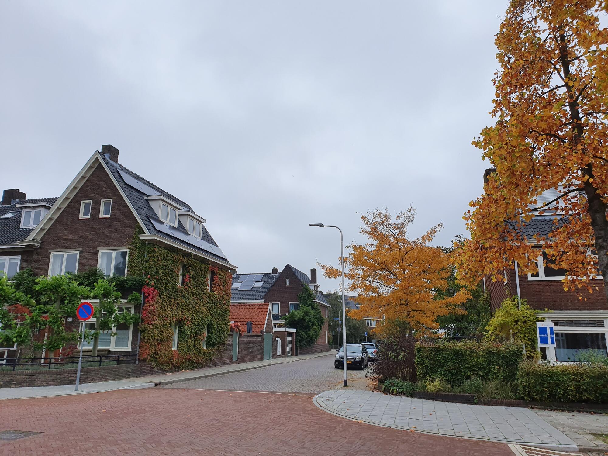 hamid-bagheri-cRF3uYjBAMA-unsplash