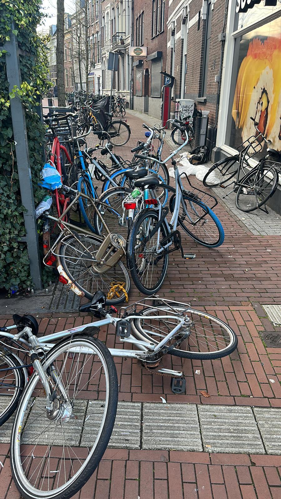 foto website artikel 2907